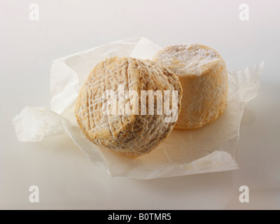 Chevre formaggio dalla Normandia francia su sfondo bianco Foto Stock