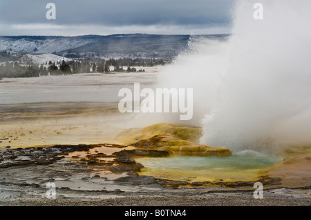 Lo spasmo geyser che erutta su un burrascoso mattina autunnale abbassare Geyser Basin Parco Nazionale di Yellowstone Wyoming Foto Stock