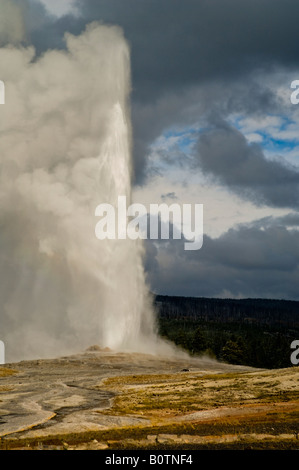 Eruzione del vapore geotermico acqua e sfiatando di geyser Old Faithful Upper Geyser Basin Parco Nazionale di Yellowstone Wyoming Foto Stock