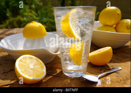 Limonata fatta in casa pronta a bere in una ciotola un tavolo da giardino in legno al sole Foto Stock