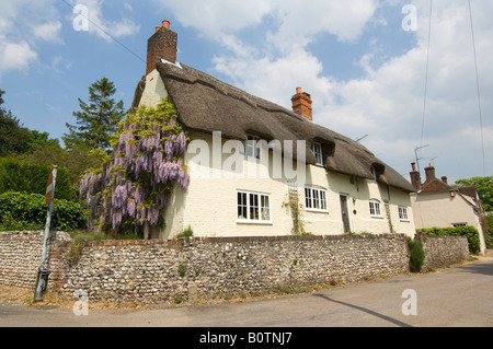 Cottage e wisteria West Meon Hampshire REGNO UNITO Foto Stock