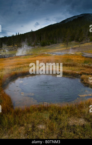 Energia geotermica primavera calda vicino Madison il Parco Nazionale di Yellowstone Wyoming Foto Stock