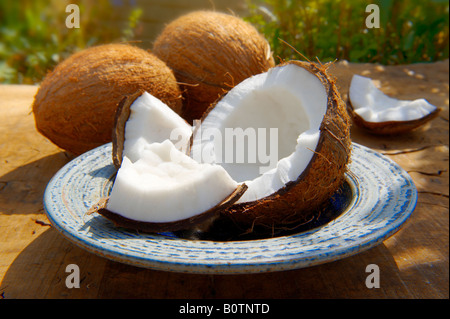 Fresco di cocco rotto , intero e aperto su un tavolo in un giardino Foto Stock