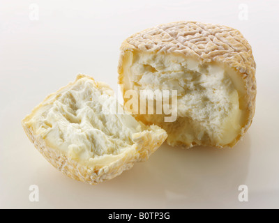 Fattoria di formaggio di capra dalla Normandia francia su sfondo bianco Foto Stock