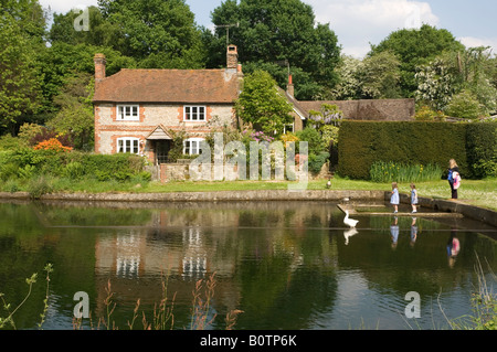 Famiglia di oche alimentazione Shottermill Haslemere Surrey UK Foto Stock