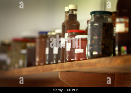 Ripiano pieno di home produrre barattoli di chutney in camera dispensa Foto Stock