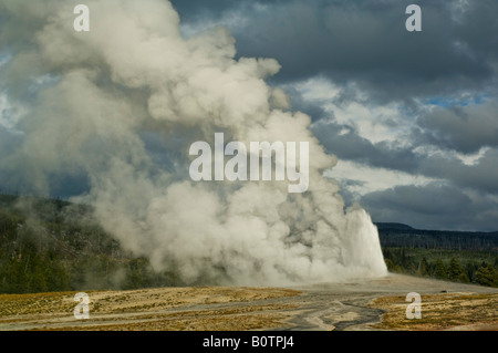 Eruzione del vapore geotermico acqua e sfiatando di geyser Old Faithful Upper Geyser Basin Parco Nazionale di Yellowstone Wyoming Foto Stock