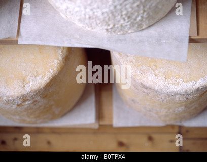 Grande ride di stagionatura dei formaggi sul ripiano Foto Stock