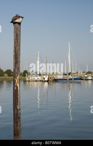 Vista della marina a Southport, North Carolina, STATI UNITI D'AMERICA Foto Stock