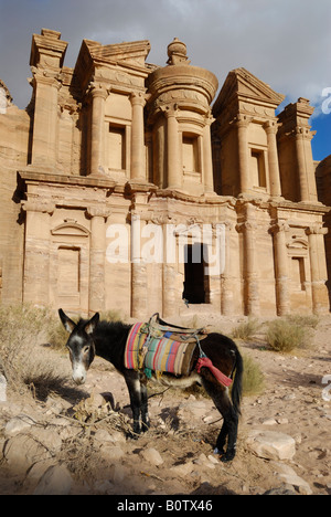 Ornati di roccia scolpiti tomba conosciuta come il monastero di Deir el Nabataean antica città Petra Giordania Arabia, asini davanti Foto Stock