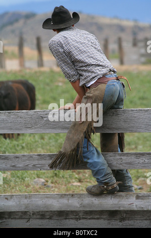 Cowboy salendo una recinzione da pascolo a pascolo. Foto Stock