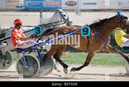 Malta Horse Racing via Marsa Malta Valletta Foto Stock