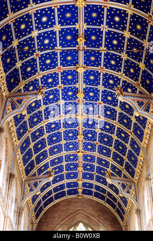 Cattedrale di Carlisle soffitto del coro del XIV secolo di oro blu dipinti medioevali stelle borchie botte vaulting Cumbria Inghilterra England Regno Unito Foto Stock