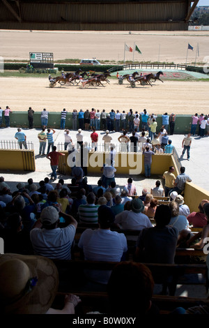 Horse Racing via Marsa Malta Valletta Foto Stock