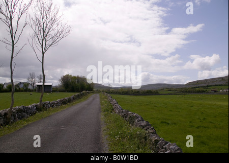 Una tranquilla strada di campagna in The Burren in Irlanda Foto Stock