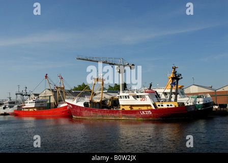 Fishing boats in the harbor of Den Helder, the Netherlands Foto Stock