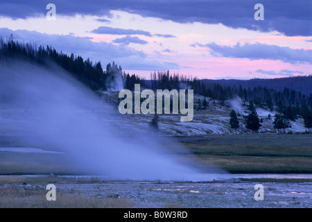 Lo sfiato del vapore dalla primavera calda in sera in biscuit Basin Parco Nazionale di Yellowstone Wyoming Foto Stock