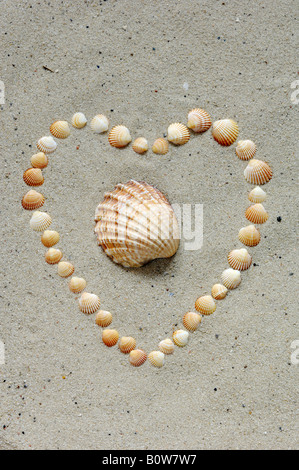 Gusci di conchiglie formando un cuore Foto Stock