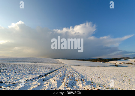 Inverno, Foresta Bavarese vicino a Hengersberg, Bassa Baviera, Germania, Europa Foto Stock