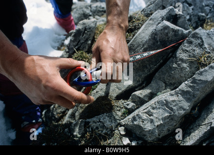 Mani maschio di aggancio di una figura di otto discensore in un moschettone in alluminio legato ad una roccia con un loop del cavo Foto Stock