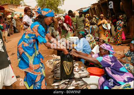 Donna shopping per il pesce in un mercato, Garoua, Camerun, Africa Foto Stock