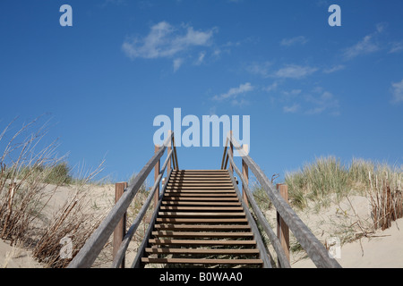 Ripidi gradini in legno sopra le dune di sabbia, Nord vedere la spiaggia, Walcheren, Zeeland, Paesi Bassi, Europa Foto Stock