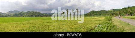 Ampio campo di riso paddy vicino a Kuta, Isola di Lombok, Lesser Sunda Islands, Indonesia Foto Stock