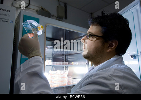 La ricerca sulle cellule staminali, Istituto Max Planck per la genetica molecolare, tecnico di laboratorio presso Incubatore con cellule, Berlino, Germania Foto Stock