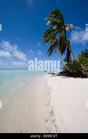 Beach sull'isola di Nosy Nato, Madagascar, Africa Foto Stock