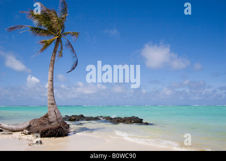 Beach sull'isola di Nosy Nato, Madagascar, Africa Foto Stock