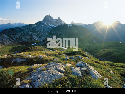 Prato di montagna, Alpi Lechtal, Tirolo, Austria, Europa Foto Stock