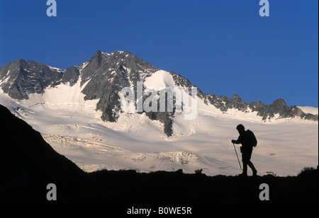 Silhouette di una montagna escursionista nella parte anteriore di un ghiacciaio in serata, Alpi della Zillertal, Tirolo, Austria, Europa Foto Stock