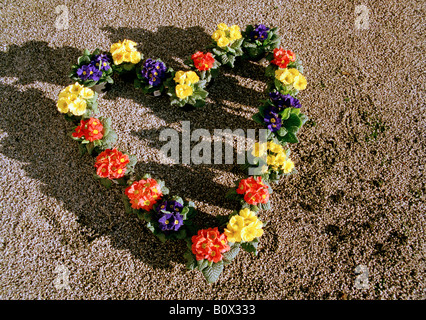 Un cuore ghirlanda sagomato Foto Stock