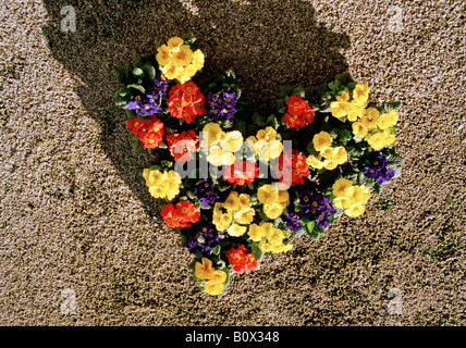 Un cuore ghirlanda sagomato Foto Stock