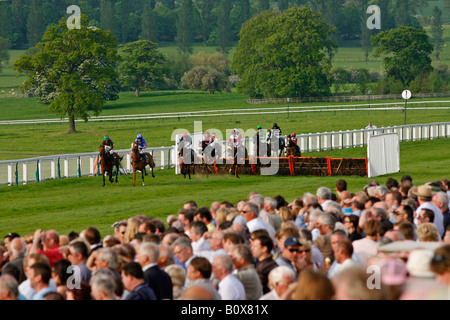 La folla in tribuna Imperatrice Stand guardare le corse a Towcester Foto Stock