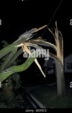 Un albero caduto che ha tirato giù una trasmissione elettrica filo di notte. Foto Stock