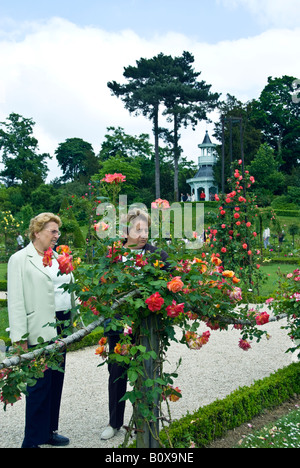 Parigi Francia, parchi pubblici Senior persone che visitano Bagatelle 'Giardino delle Rose' nel Parco di Boulogne guardando "Hannibi Rose' Foto Stock