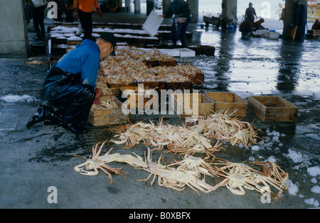 Regina granchi al mercato del pesce Foto Stock