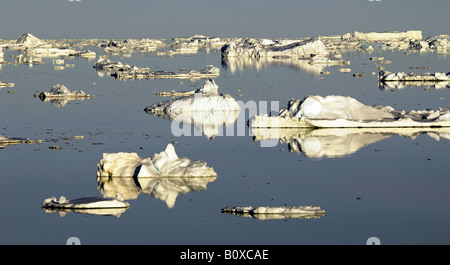 La deriva di ghiaccio in Antartide, Suedpolarmeer Foto Stock