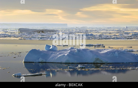 La deriva di ghiaccio in Antartide, Suedpolarmeer Foto Stock