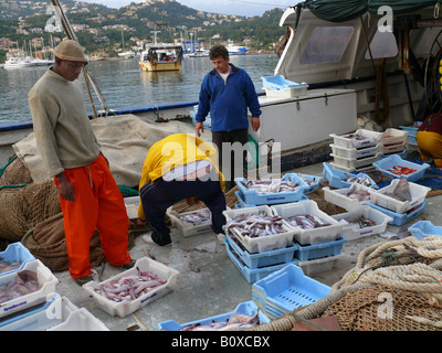 I pescatori di cattura di pulizia sulla barca da pesca a Porto Spagna, Maiorca, Puerto Andratx Foto Stock