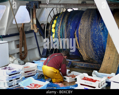 Pescatore di cattura di pulizia sulla barca da pesca a Porto Spagna, Maiorca, Puerto Andratx Foto Stock