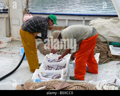 I pescatori di cattura di pulizia sulla barca da pesca a Porto Spagna, Maiorca, Puerto Andratx Foto Stock