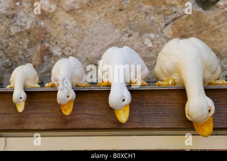 Quattro anatre ornamentali sul ripiano, Provenza, Francia Foto Stock