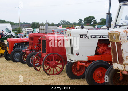 Vecchio McCormick International Farmall e David Brown trattori agricoli a Smallwood Vintage Rally Cheshire England Regno Unito Regno Unito Foto Stock