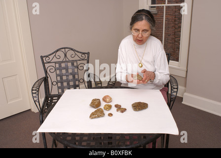 Rocce fossili Foto Stock