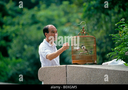 In un parco locale a Kowloon un uomo prende il suo songbird per una passeggiata Foto Stock