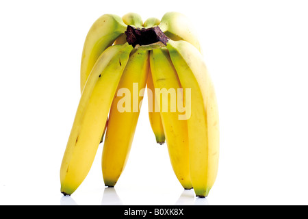 Grappolo di banane Foto Stock