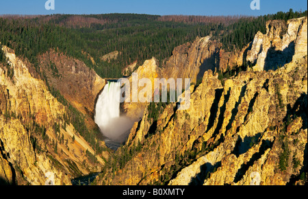 Una vista delle cascate di Yellowstone e il Grand Canyon di Yellowstone Foto Stock