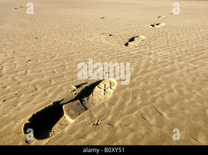 Diagonale ascendente di impronte su di una spiaggia di sabbia., Germania, Langeoog Foto Stock
